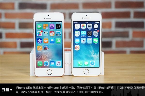 不懂如何區分iPhoneSE/5s？ arpun.com