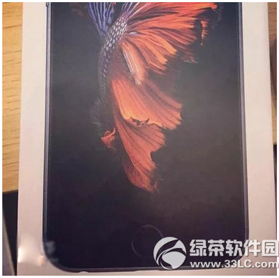 iphone6s樣子變了嗎 iphone6s外觀有變化嗎_arp聯盟