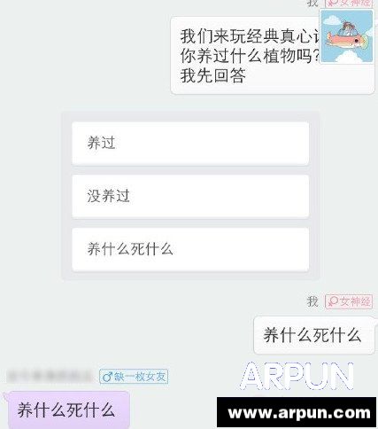 抱抱app真心話大冒險怎麼玩 抱抱發起大冒險玩法_arp聯盟