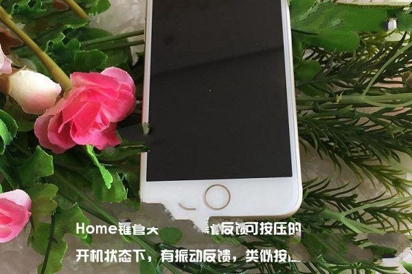 iPhone7怎麼辨別真假？蘋果iPhone7&7 Plus辨別真假全攻略