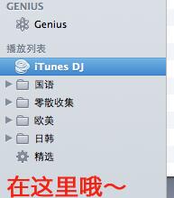 iPhone怎麼用itunes下載音樂?   