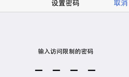 iPhone應用訪問限制怎麼設置5