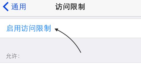 iPhone應用訪問限制怎麼設置4