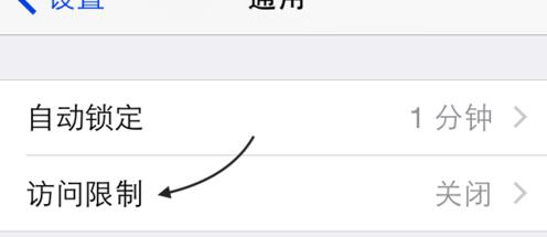 iPhone應用訪問限制怎麼設置3