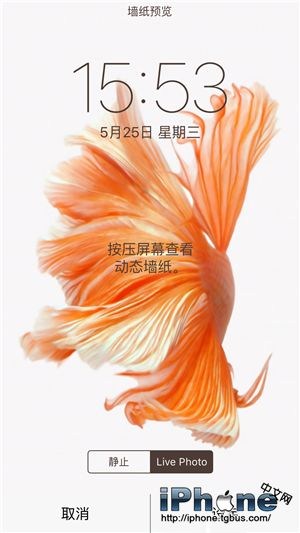 iPhone6s動態壁紙動不了怎麼辦？ 