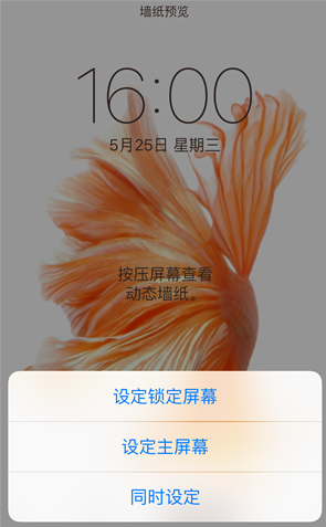 iphone6s動態壁紙,iphone6s動態壁紙不動,iPhone6s動態壁紙動不了的解決方法