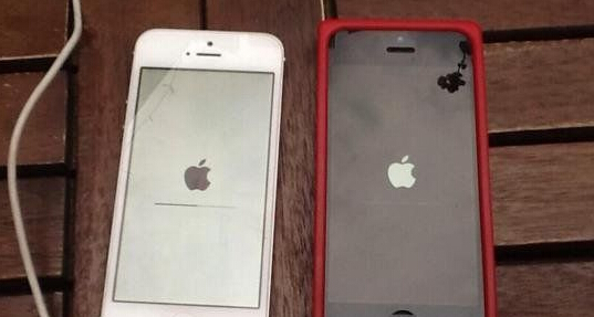 iPhone白蘋果怎麼回事？   