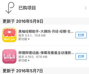 iPhone如何關閉App Store自動更新4