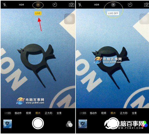 iPhone SE怎麼辨別真假？辨別iPhone SE真偽方法大全