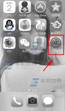 iphone5s黑白屏設置方法 