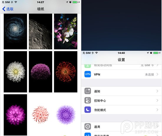 年度焦點之爭! 錘子手機對比iPhone 6