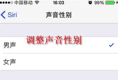 iphone怎麼修改siri聲音 蘋果ios8更換siri性別語言聲音教程