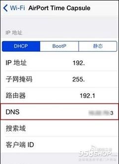 怎樣正確修改iOS設備的DNS地址