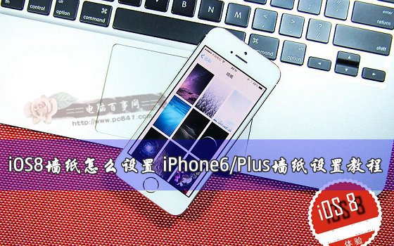 iPhone6/Plus的iOS8系統要怎麼設置牆紙？ 