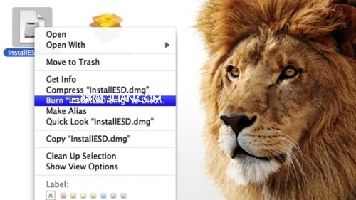 將Mac App Store的Lion刻到 DVD上